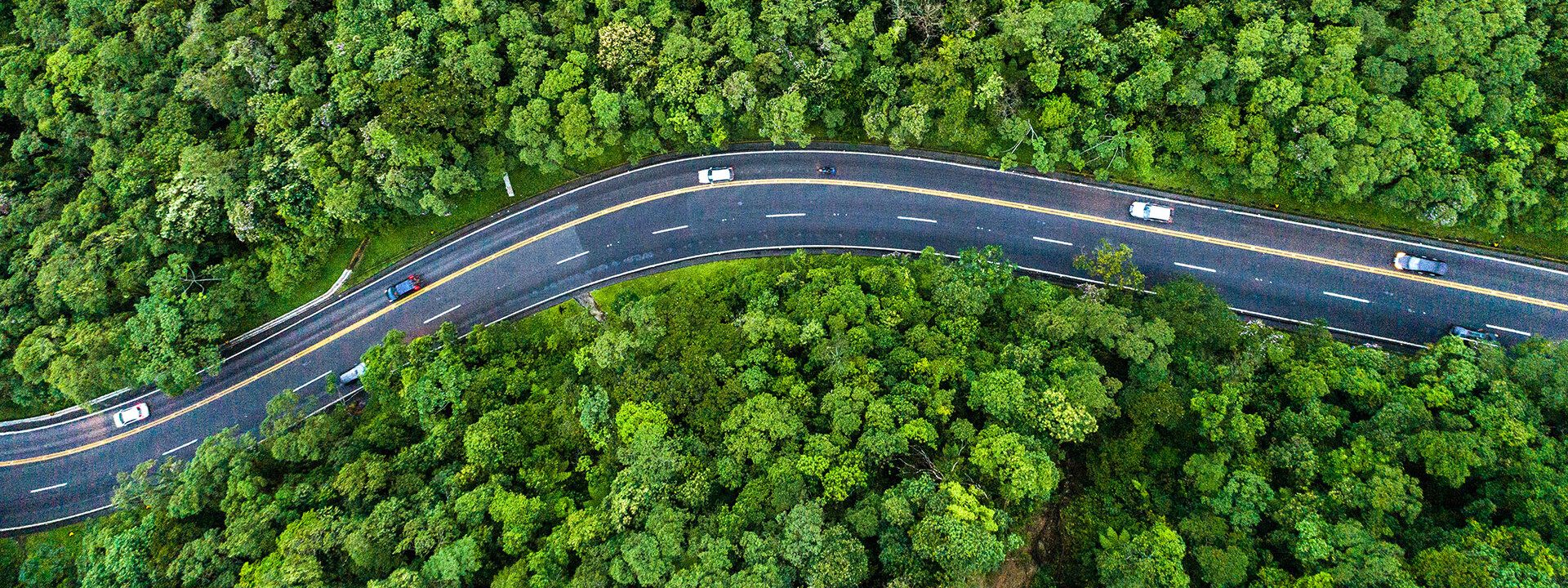 Straße durch einen Wald